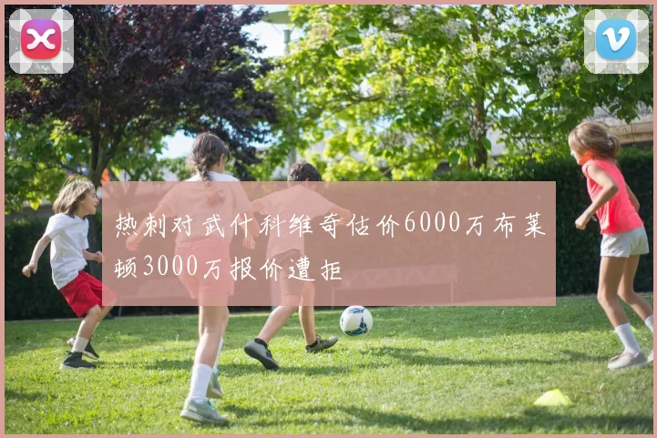 热刺对武什科维奇估价6000万布莱顿3000万报价遭拒