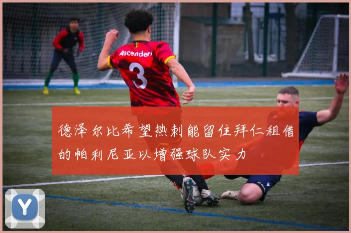 德泽尔比希望热刺能留住拜仁租借的帕利尼亚以增强球队实力